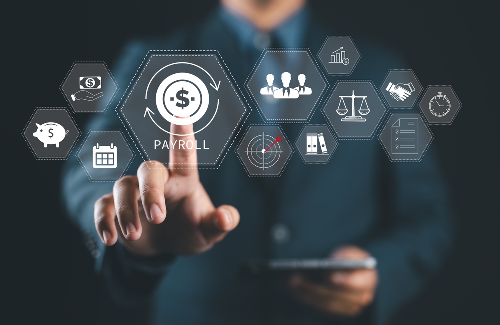 Professional payroll and administrative management system